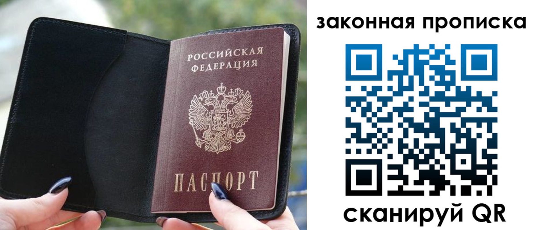 прописка законно в Зернограде